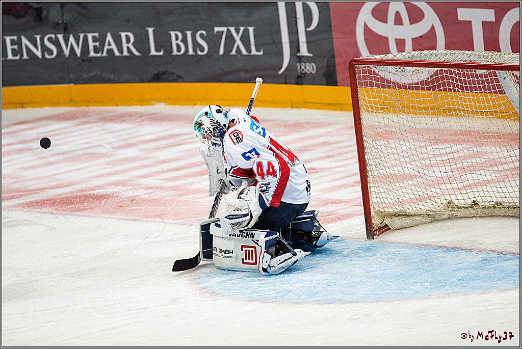 Koelner Haie - Adler Mannheim, 30.10.2016